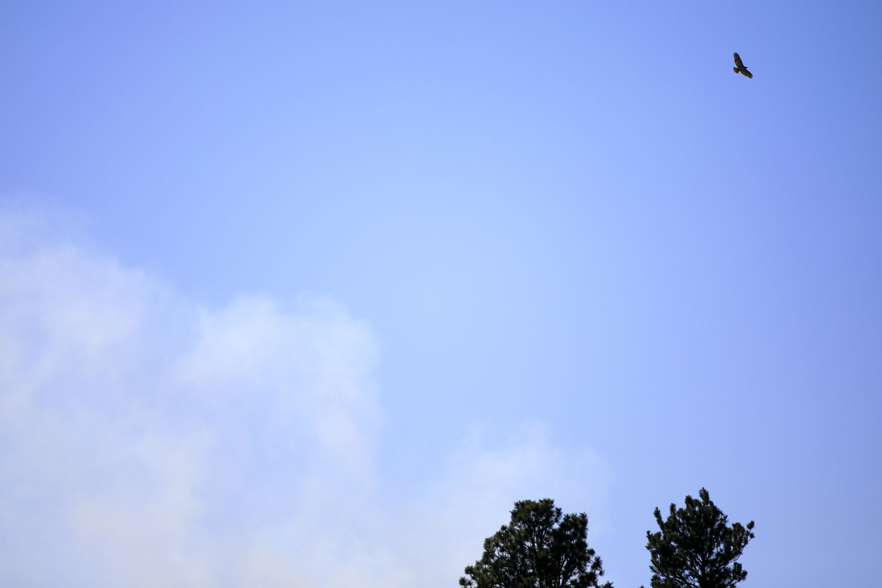 Alkali Creek fire